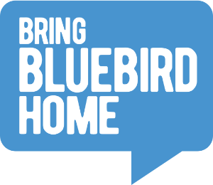 BringBluebirdHome.co.uk